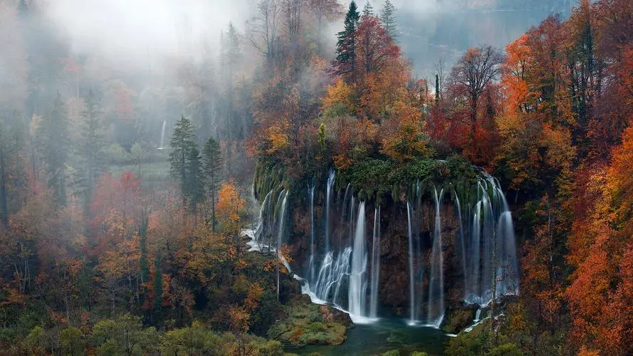 智能系统自动化